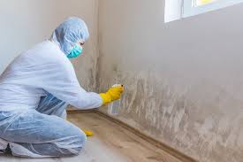 Professional Mold Remediation in Manchester Center, VT